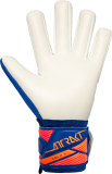 Reusch Attrakt Gold X NC Junior  5672955 4126 blue back